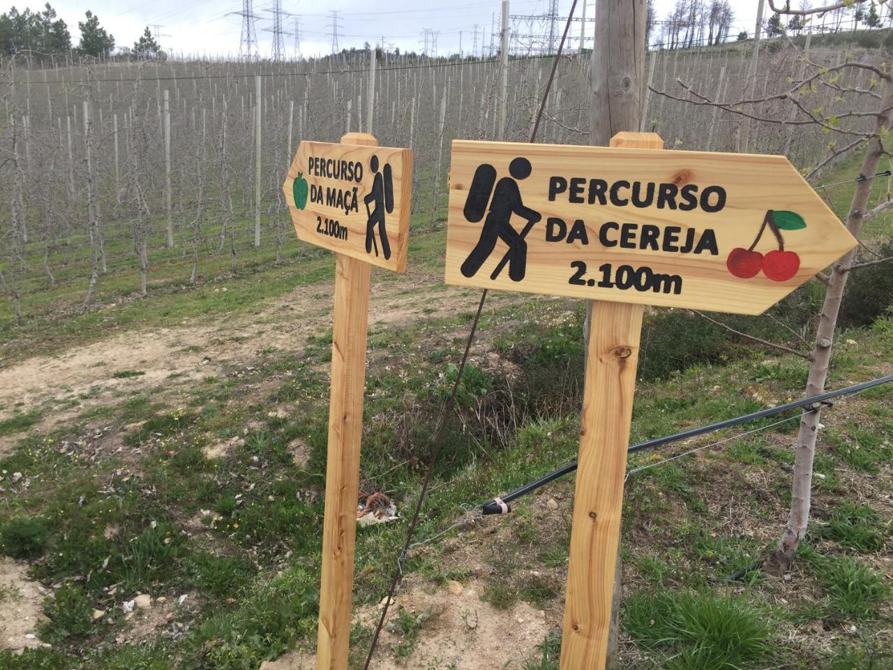 Quinta Bemboa Turismo Espaco Rural Aricera Экстерьер фото